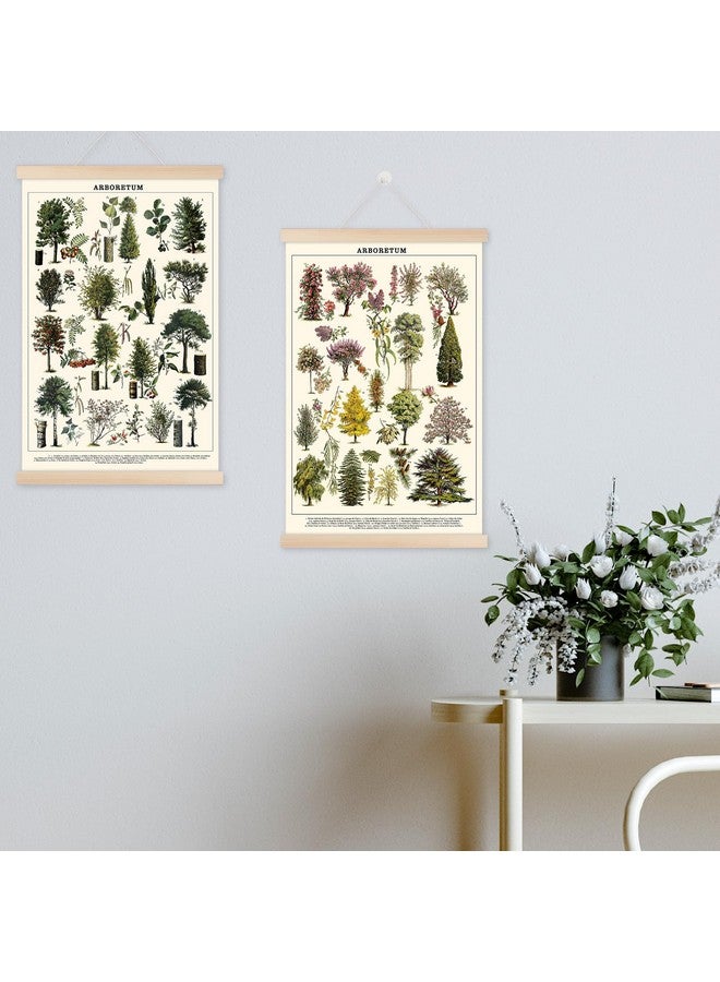 Chenkaiyang Vintage Tree Poster (2 Pcs), Green Tree Wall Art Prints, Rustic Retro Tree Chart, Living Room Decor - Image 4