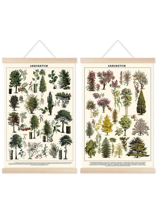 Chenkaiyang Vintage Tree Poster (2 Pcs), Green Tree Wall Art Prints, Rustic Retro Tree Chart, Living Room Decor - Image 1