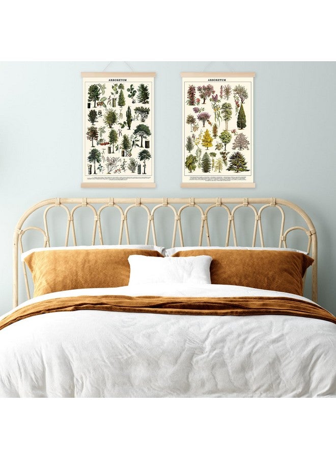 Chenkaiyang Vintage Tree Poster (2 Pcs), Green Tree Wall Art Prints, Rustic Retro Tree Chart, Living Room Decor - Image 3