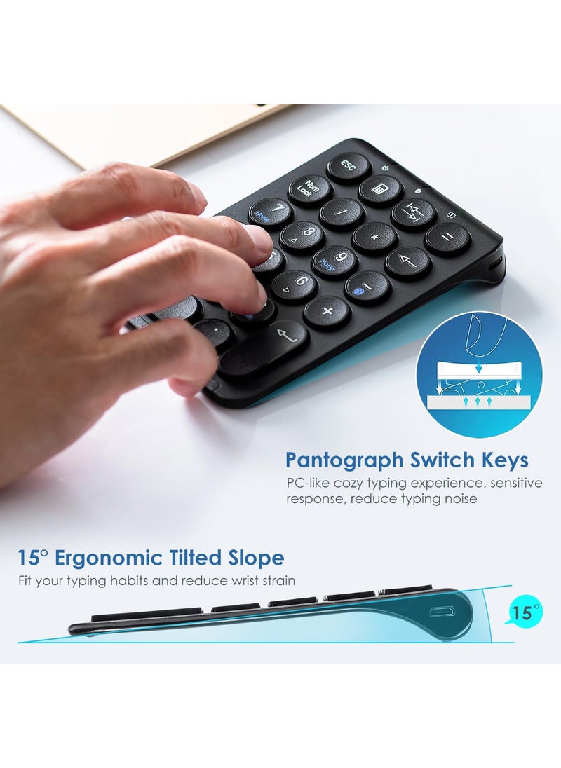 SANWA SANWA Bluetooth Numeric Keypad, Rechargeable Wireless Ten Key Number Pad, 22-Key Portable & Slim Financial Accounting Numpad for Laptop Computer, Compatible with MacBook, Windows, Android, iOS, Black  - Image 5
