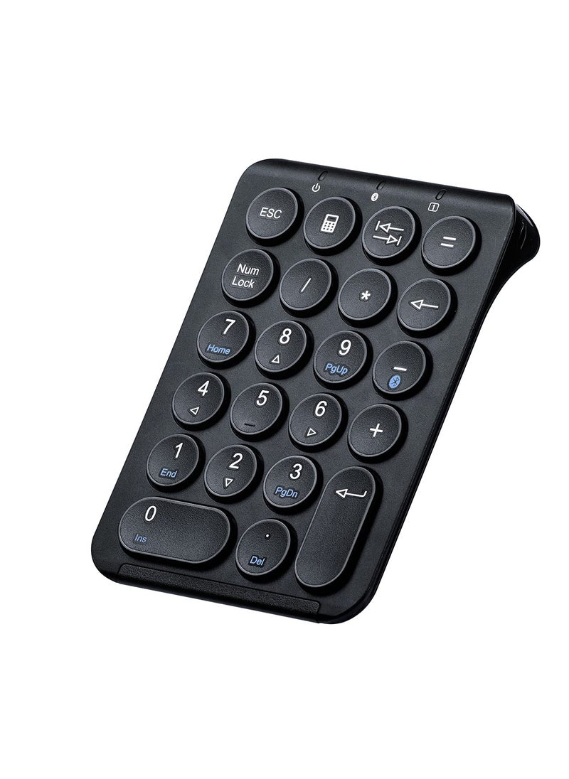 SANWA SANWA Bluetooth Numeric Keypad, Rechargeable Wireless Ten Key Number Pad, 22-Key Portable & Slim Financial Accounting Numpad for Laptop Computer, Compatible with MacBook, Windows, Android, iOS, Black  - Image 1