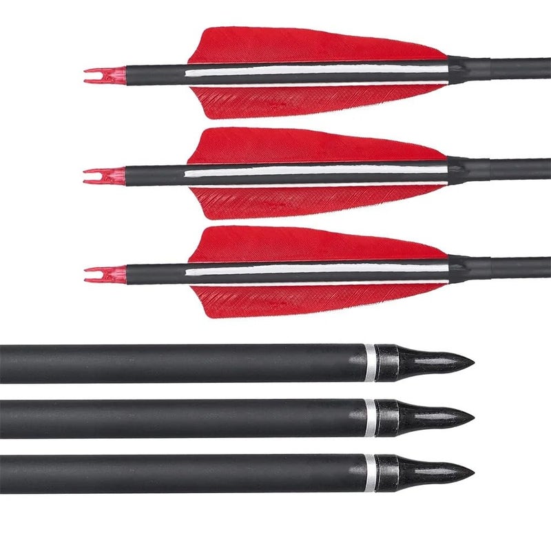 RedOak 30 inch Archery Arrows for Recurve Bow Fiberglass Target Practice (6 pcs) - Red - Image 5