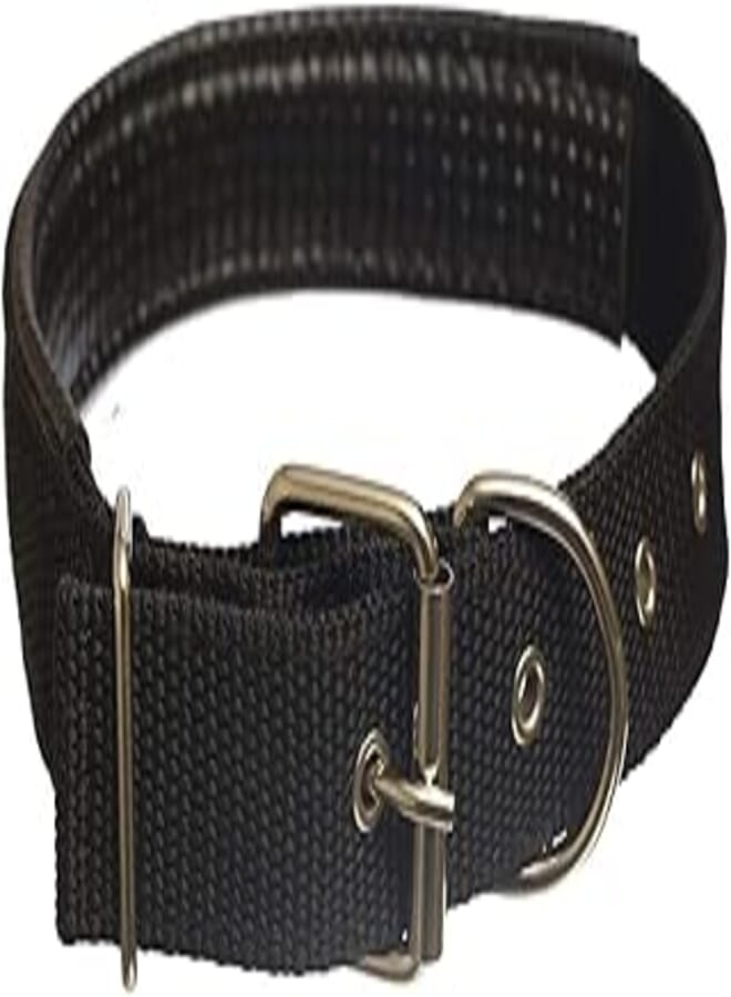 OR Collar For Dogs, 3 CM - Black