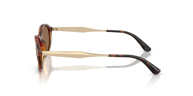 Vogue Eyewear 0Vo5625S Oval Sunglasses