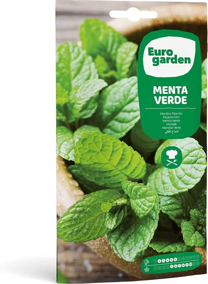 Fito SEMILLAS FITO Green Mint - Verde - Image 1