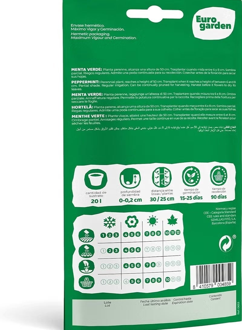 Fito SEMILLAS FITO Green Mint - Verde - Image 3