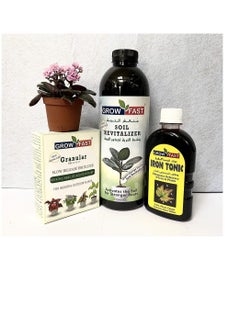 GROW FAST Grow Fast Soil Revitalizer Iron Tonic Granular NPK Best for Indoor and Outdoor Plants  - Image 1