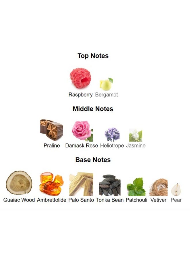 PARIS CORNER Ophidian Black Cherry Unisex EDP -100ml - Image 5