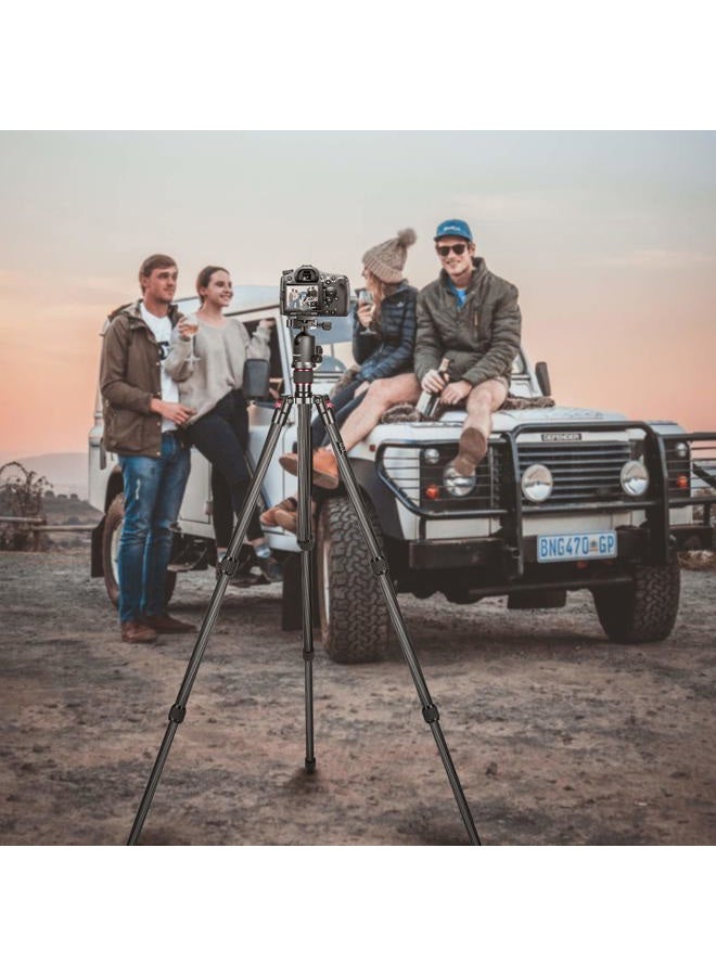 Neewer 66"/168cm Carbon Fiber Tripod for Camera with 360° Panorama Ball Head, 1/4" Arca QR Plate, Portable Bag, Compact Travel Tripod Monopod for DSLR Video Camcorder, Max Load 26.5lb/12kg, N55C - Image 2