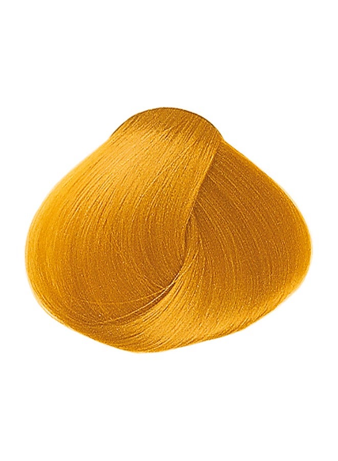 framesi FRAMCOLOR 2001 - Permanent Hair Colouring Cream 60 ML | 650 Pure Yellow - Image 2