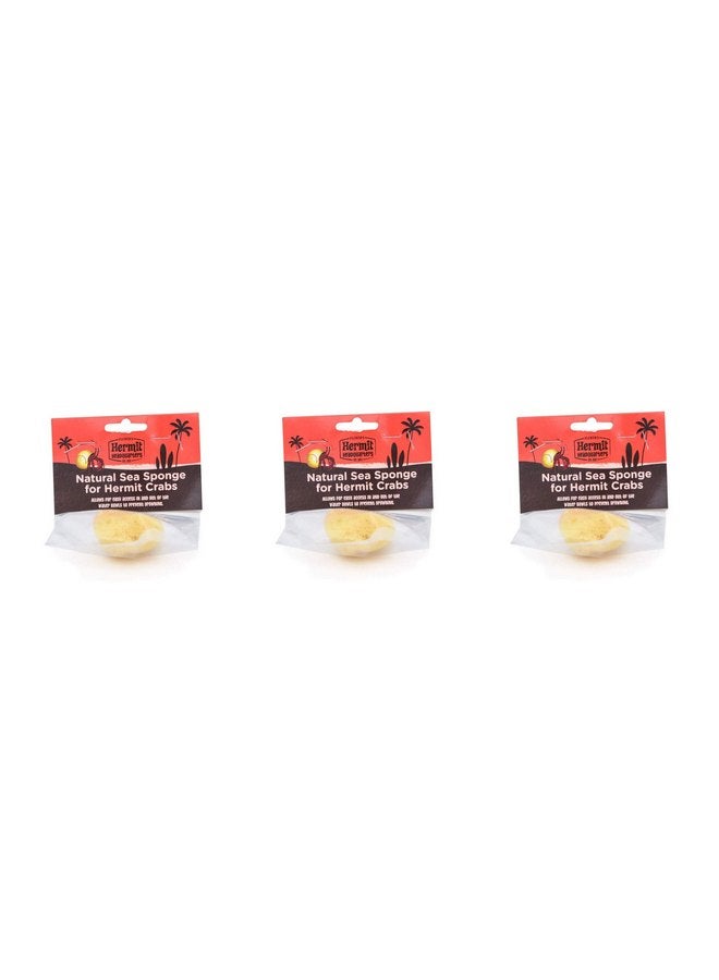 Fluker's Natural Sea Sponge for Hermit Crabs (3 Pack)