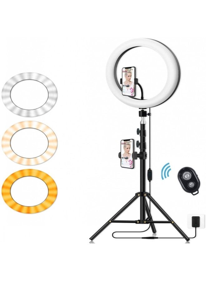 general Dual-position 10-inch Ring Lamp 12-inch 30cm Fill Light Beauty Lamp 26cm Selfie Lamp Photography Lamp Live Broadcast-Color:10 Inch 26cm Ring Lamp + Pan-tilt + Hose Mobile Phone Clip +110cm Tripod +  - Image 1