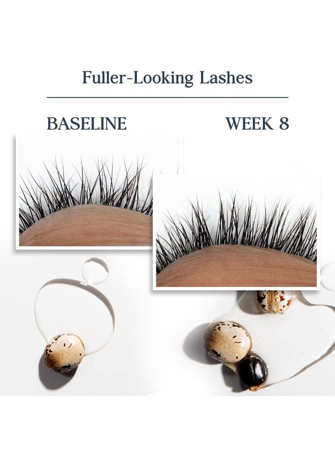 Heritage Store Castor Serum Volumizing Treatment for Fuller, Longer Looking Lashes & Bold Brows, With Organic Castor Oil, Black Castor Oil, Biotin & Our Keratin Supporting Hair Complex, Vegan, 0.42 oz - Image 4