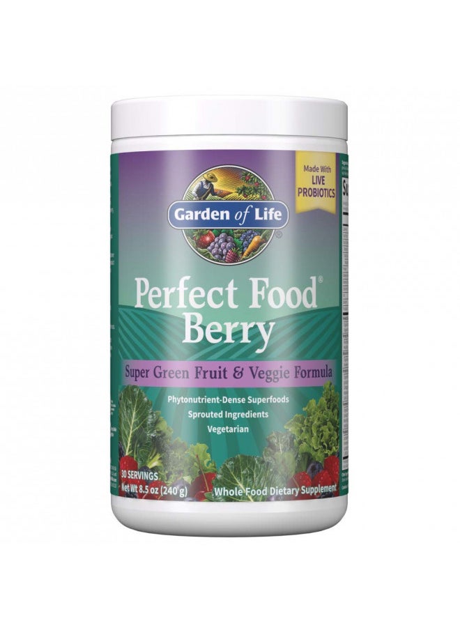 Garden of Life - Garden of Life Perfect Food Berry Super Green Fruit & Veggie Formula - 30 Servings, 49 Superfoods Greens, Sprouts, Fruits, Veggies, Probiotics, Spirulina, Vegetarian Juice Superfood Powder Supplement - Image 1