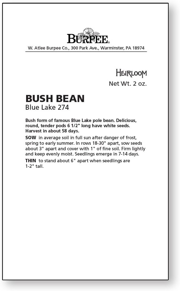 Burpee Blue Lake 274 Bush Bean Seeds 2 ounces of seed - Image 2