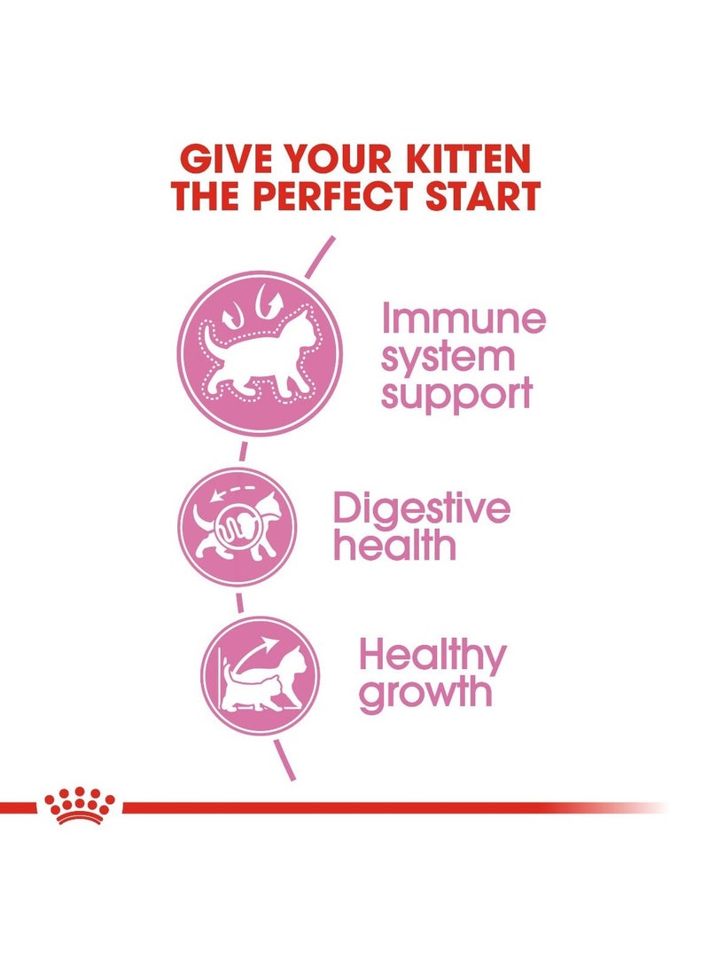 رويال كانين تغذية صحية للقطط الصغيرة ٢ كجم - Image 4