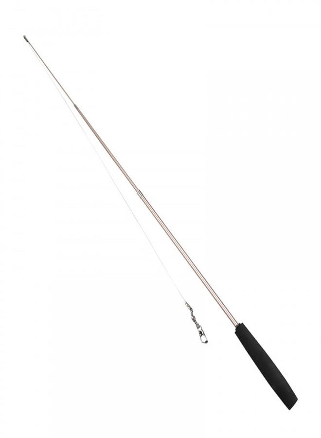 DONGKER Cat Teaser Wand,Retractable Kitten Fishing Pole Toy for Cat Kitten Reduce Boredom(Not Include Replacement) - Image 1