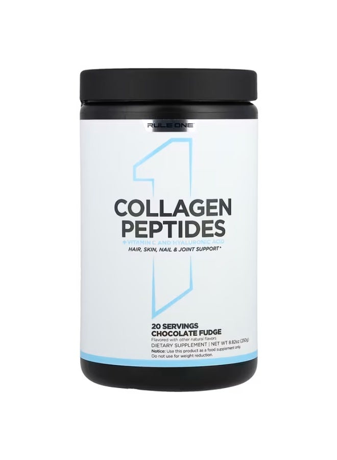 Rule 1 Proteins Rule One Proteins, Collagen Peptides + Vitamin C and Hyaluronic Acid, Chocolate Fudge, 8.82 oz (250 g) - Image 1