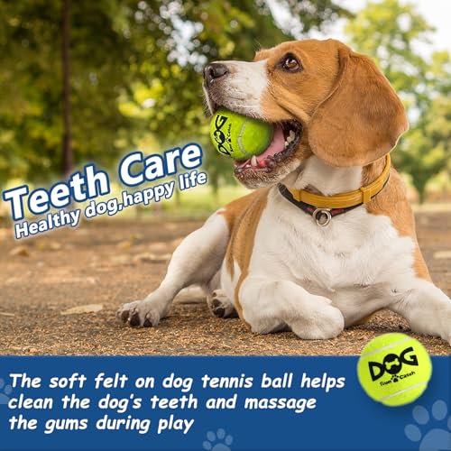 INSUM Squeaky Tennis Balls for Dogs - 12 Pack 2.0'' Durable Non-Toxic Outdoor Dog Toys Balls with Mesh Bag, SGS Certified, Colorful Fetch Toys,Small Breeds - Image 5
