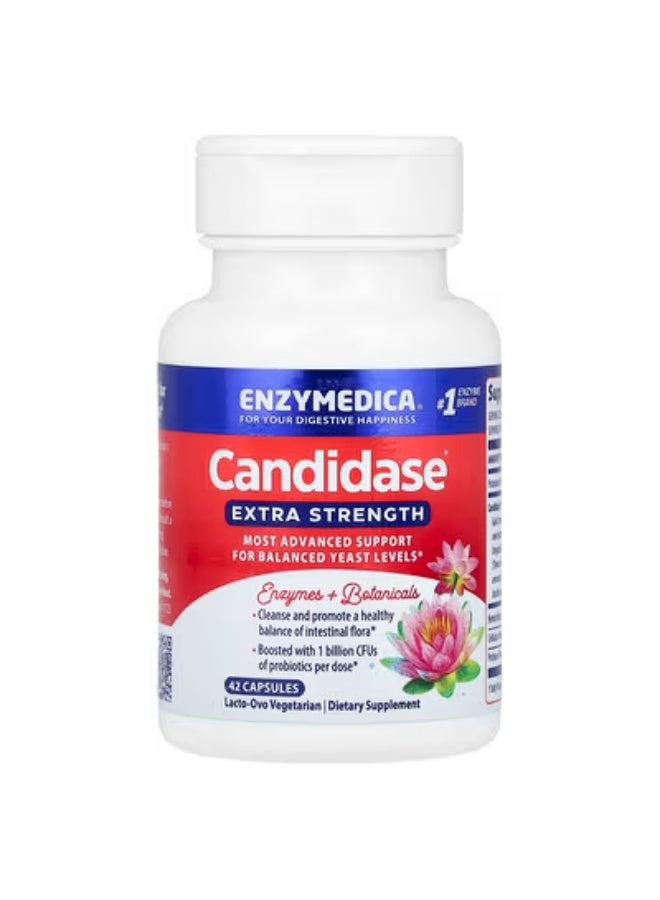 إنزيميديكا إنزيميديا، كانديداز، 42 كبسولة