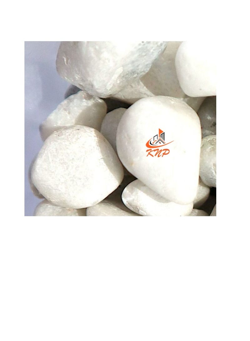 KNP White Color Decorative Painted Pebbles Aquarium 10-15mm 10 kg - Image 1