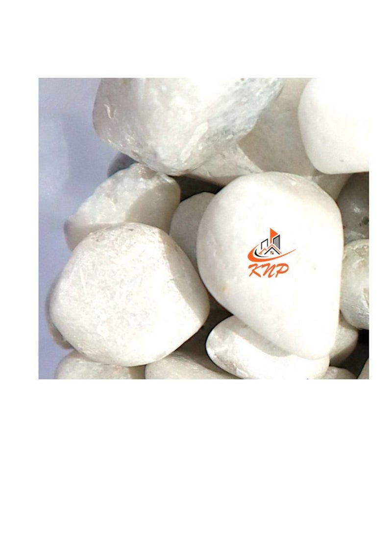 KNP White Color Decorative Painted Pebbles Aquarium 10-15mm 10 kg - Image 3