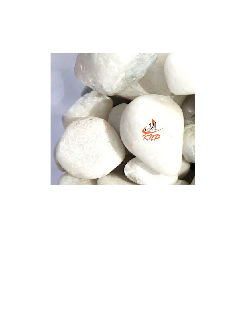 KNP White Color Decorative Painted Pebbles Aquarium 10-15mm 10 kg - Image 2