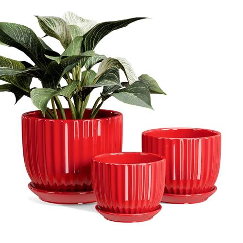 Ton Sin Ceramic Plant Pots  456 Inch Red Planters Set of 3 with Drainage Holes and Saucer  Indoor Flower Pots for Plants Ceramic Planters for Indoor Gardening Succulent Pots