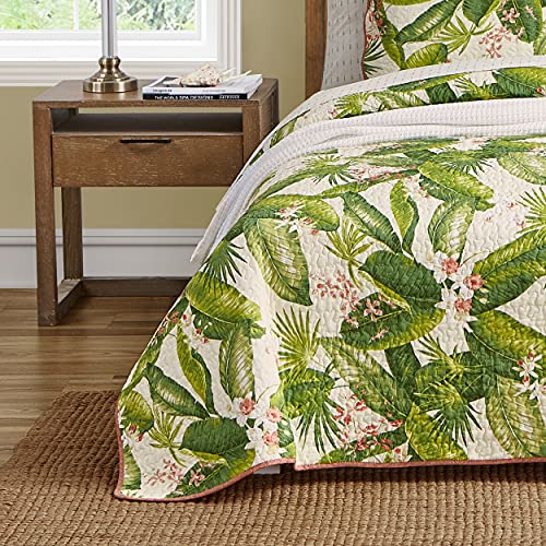 Tommy Bahama Quilt Set Soft Bedding with Matching Shams, Lightweight Home Decor for All Seasons, Queen, Chevron Pelican Grey - Image 3