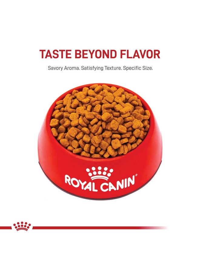 ROYAL CANIN Poodle Adult Breed Specific Dry Dog Food, 10 Lb Bag - Image 5