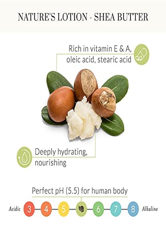 Tree to Tub - Shea Butter Hand Cream For Sensitive Skin. Hydrating Lavender Moisturizer For Women And Men With Fresh Organic Aloe Vera, Vitamin B5, Organic Cocoa Butter And Rose Water Toner - Image 1