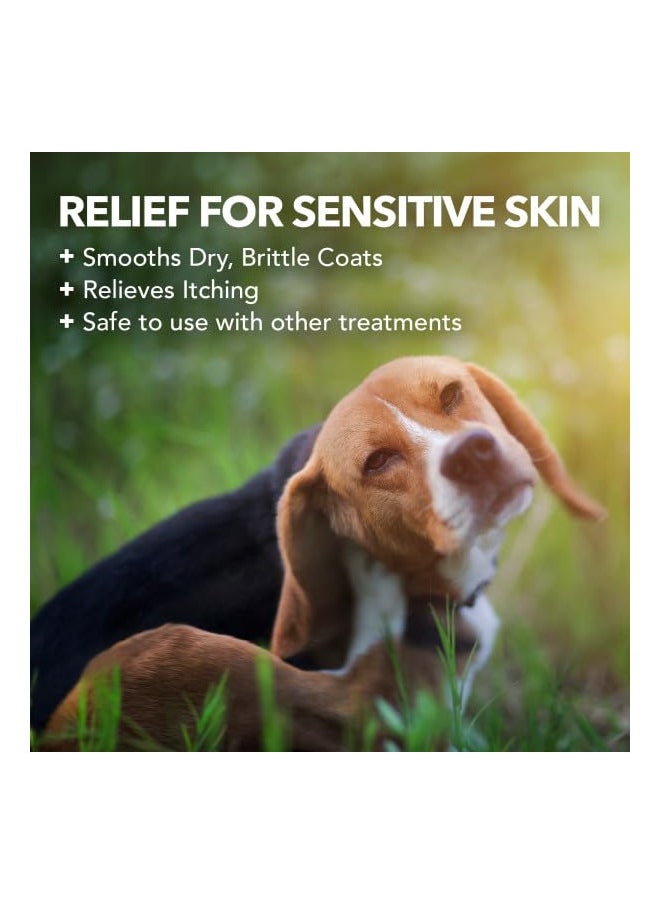 Vet's Best - Vet's Best Hypo-Allergenic Shampoo for Dogs | Dog Shampoo for Sensitive Skin | Relieves Discomfort from Dry, Itchy Skin | Cleans, Moisturizes, and Conditions Skin and Coat - Image 1
