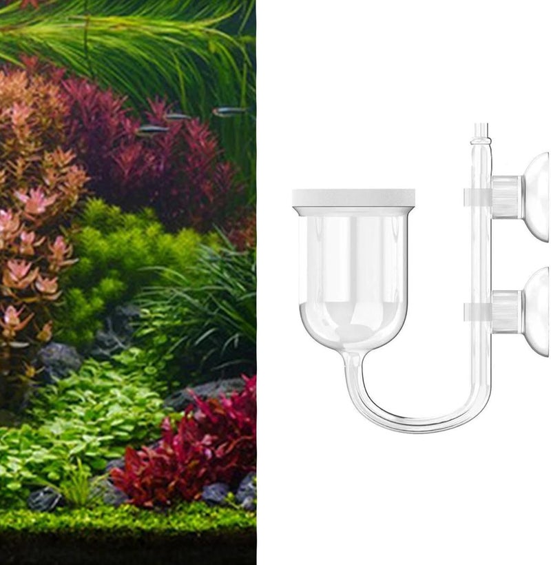 Glass CO2 Accessory with Suction Cups for Tank Diameter 3.5cm - Image 5