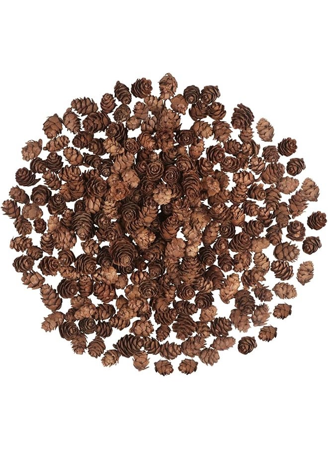 The Bros 200PCS Christmas Natural Pine Cones Mini Pine Cones Fall Decorations Pinecones Ornaments Bulk Small Pine Cones for DIY Crafts Thanksgiving Fall Winter Christmas Wedding Decor Vase Filler Decor  - Image 1