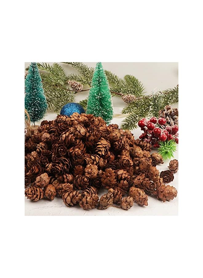 The Bros 200PCS Christmas Natural Pine Cones Mini Pine Cones Fall Decorations Pinecones Ornaments Bulk Small Pine Cones for DIY Crafts Thanksgiving Fall Winter Christmas Wedding Decor Vase Filler Decor  - Image 3