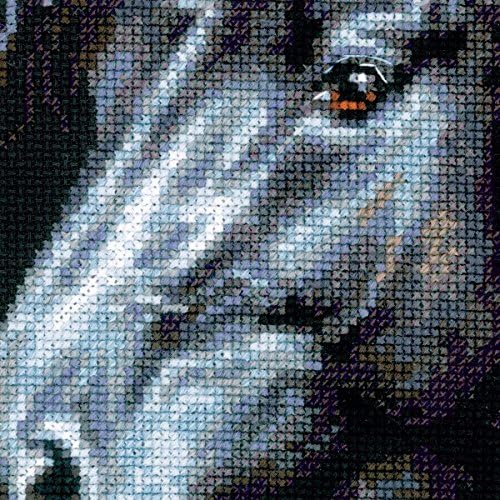 RIOLIS - Breeze Through Mane 1494, Counted Cross Stitch Kit 11,81" x17,72, Black Horse Embroidery Kit, Cross Stitch Patterns for Adults with Horse, Cross Stitch Kits for Adults Advanced & Beginners - Image 3