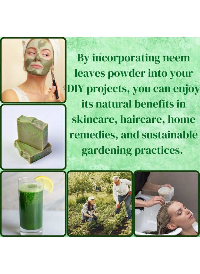 HERBS BOTANICA - Neem Powder for Hair Growth, Skin Care & Detox Wildcrafted Bitter Neem Leaves Powder for Immune System Support, Digestive Health 5.3 oz - Image 1
