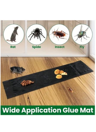 pack of 5