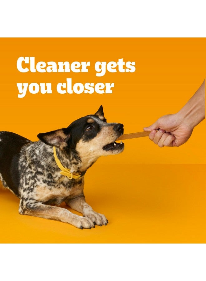 بيديجري مكافآت بيديجري دينتاستيكس للكلاب من السلالات الصغيرة والمتوسطة، أصلية مع دجاج حقيقي، 100 مكافأة إجمالاً - Image 4