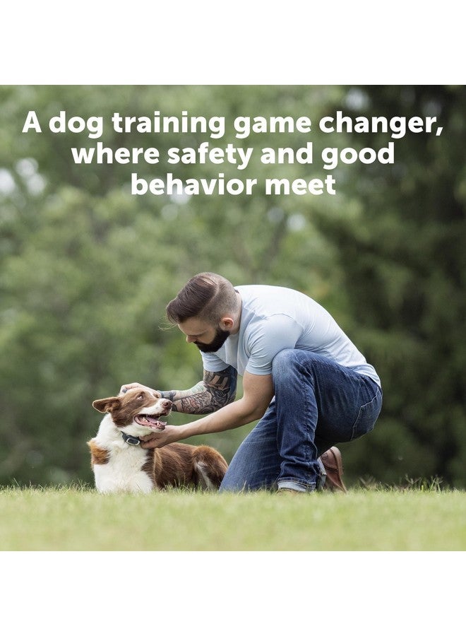 PetSafe Remote Trainer Dog Training Collar - 3 Training Modes: Tone, Vibration, 15 Levels of Static Stimulation, Standard for Dogs Over 8lb+ - Waterproof, Durable, Rechargeable - 100 Yards (300 Feet) - Image 4