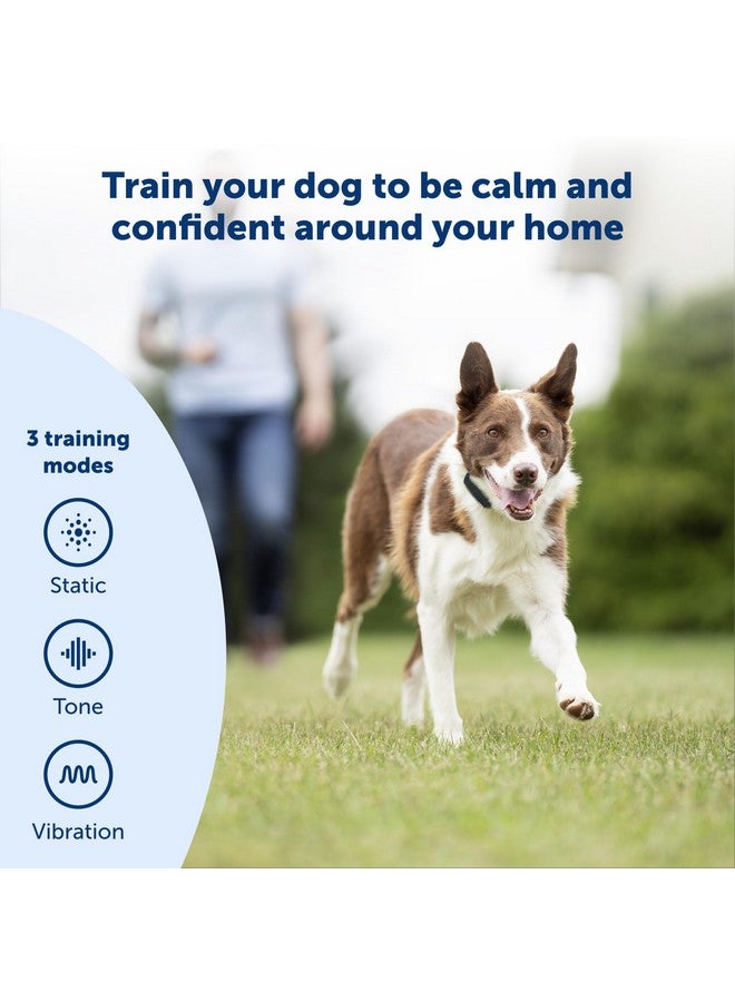 PetSafe Remote Trainer Dog Training Collar - 3 Training Modes: Tone, Vibration, 15 Levels of Static Stimulation, Standard for Dogs Over 8lb+ - Waterproof, Durable, Rechargeable - 100 Yards (300 Feet) - Image 1