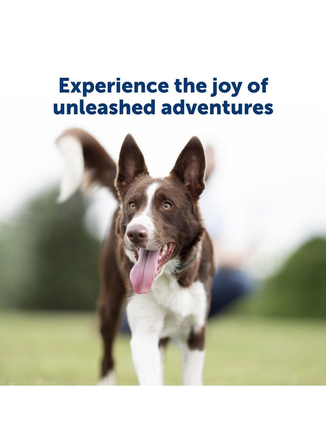 PetSafe Remote Trainer Dog Training Collar - 3 Training Modes: Tone, Vibration, 15 Levels of Static Stimulation, Standard for Dogs Over 8lb+ - Waterproof, Durable, Rechargeable - 100 Yards (300 Feet) - Image 3