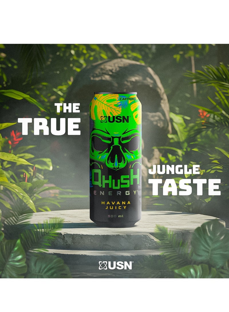 USN Qhush Havana Energy Drink 500Ml Pack Of 6 - Image 3