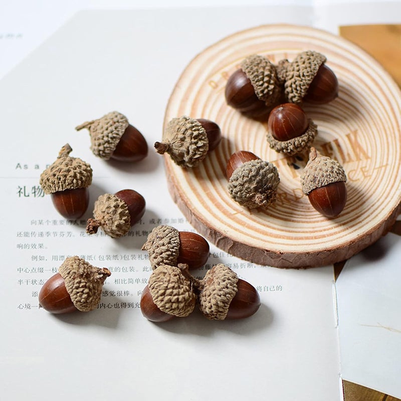 klarako 100Pcs Natural Acorns Bulk Real Acorns Caps Decorative Vase Fillers Home Party Wreath DIY Thanksgiving Christmas Kitchen Photo Props Ornaments  Natural Acorn Caps - Image 2