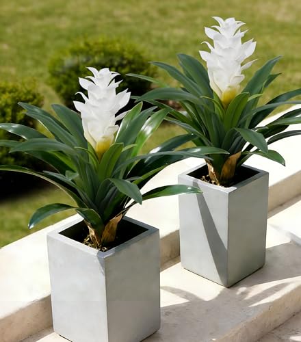 Ivydale Fake Flowers Plants for Outdoors 2 Pcs 1693 Bromeliad Artificial Flowers Uv Resistant Realistic Faux Flowers for Outdoor Planters Outside Porch Patio Yard Garden Indoor DecorationWhite - Image 1
