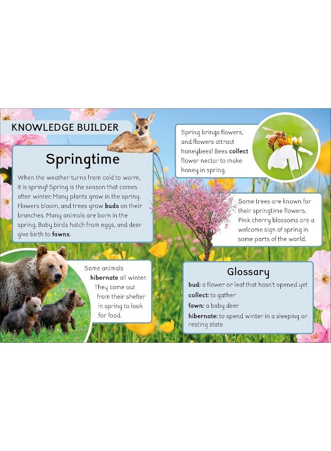 Phonic Books Dandelion World Stages 8-15: Adjacent consonants and consonant digraphs