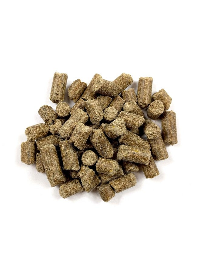 أوكسبو طعام أساسي للفئران والجرذان الصغيرة - طعام طبيعي بالكامل للفئران والجرذان الصغيرة - 2.5 رطل - Image 3