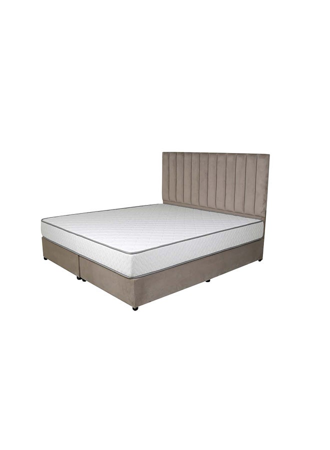 Opulence Upholstered Bed 203 X 100 Single Size Muted Beige Color, Mattress Size-200x100cm (Mattress sold separately)