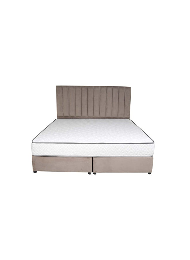 Opulence Upholstered Bed 203 X 100 Single Size Muted Beige Color, Mattress Size-200x100cm (Mattress sold separately)