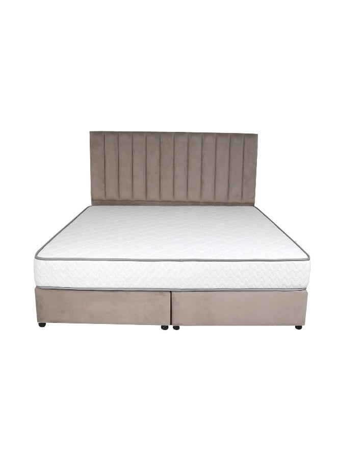 Bed and Mattress Zone Opulence Upholstered Bed 200 X 100 Single Size Muted Pink Color  - Image 1